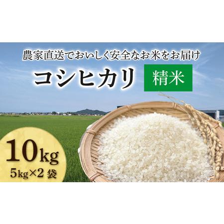 ふるさと納税 [先行予約][令和8年産 新米]コシヒカリ 精米 10kg(5kg×2袋)JGAP認証米 / 米 10キロ 福井県産 ブランド米 一等米 ご飯.. 福井県あわら市
