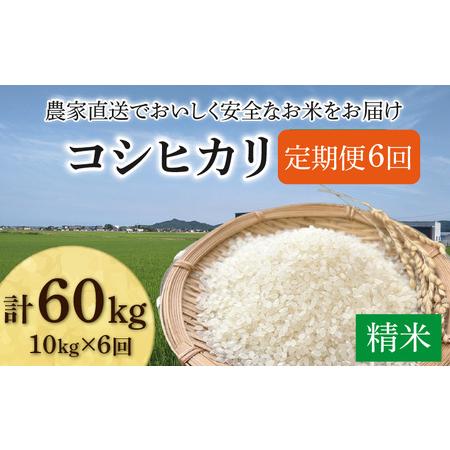 ふるさと納税 [先行予約][令和8年産 新米][定期便6回]コシヒカリ 精米 10kg(5kg×2袋)JGAP認証米 / 米 10キロ 福井県産 ブランド.. 福井県あわら市