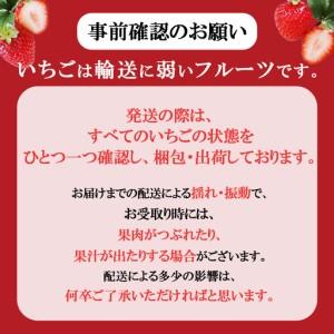 ふるさと納税 【定期便4回】那珂川町産とちあいか 朝採れ当日発送 270ｇ×4Ｐ×3 栃木県那珂川町_2