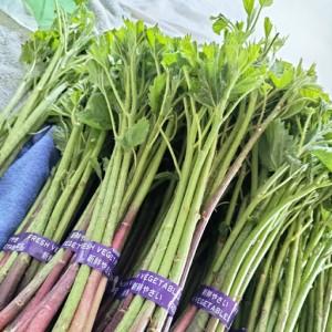 ふるさと納税 アイコ（ミヤマイラクサ） 約400g 秋田の山菜【60P3227】 秋田県大館市の画像