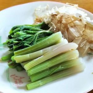 ふるさと納税 アイコ（ミヤマイラクサ） 約1200g 秋田の山菜【180P3203】 秋田県大館市の画像