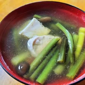 ふるさと納税 ワラビ 約500g トロっトロの食感が堪らない！【60P3230】 秋田県大館市の画像