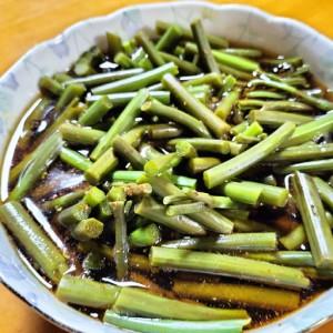 ふるさと納税 ワラビ 約1000g トロっトロの食感が堪らない！【120P3205】 秋田県大館市の画像
