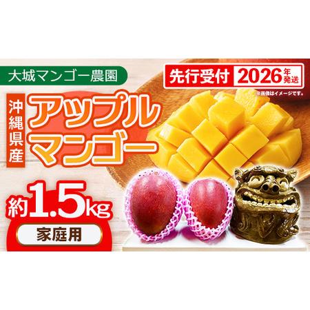ふるさと納税 [先行受付][2026年発送]大城マンゴー農園 マンゴー 家庭用 約1.5kg - 先行予約 アップルマンゴー 沖縄 産地直送 南国フルー.. 沖縄県八重瀬町