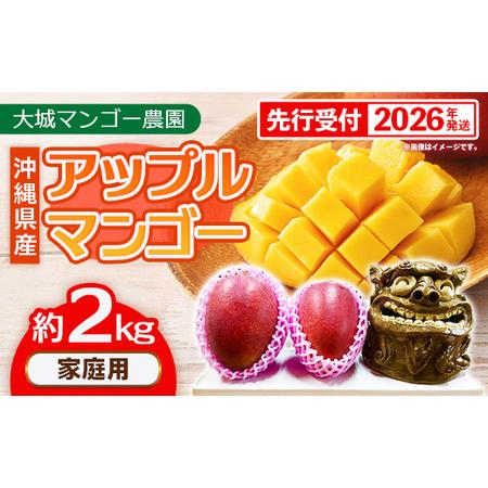 ふるさと納税 [先行受付][2026年発送]大城マンゴー農園 マンゴー 家庭用 約2kg - 先行予約 アップルマンゴー 沖縄 産地直送 南国フルーツ .. 沖縄県八重瀬町