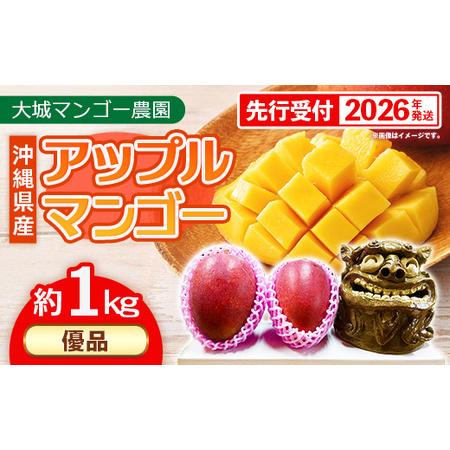 ふるさと納税 [先行受付][2026年発送]大城マンゴー農園 マンゴー 優品 約1kg - 先行予約 アップルマンゴー 沖縄 産地直送 南国フルーツ 旬.. 沖縄県八重瀬町