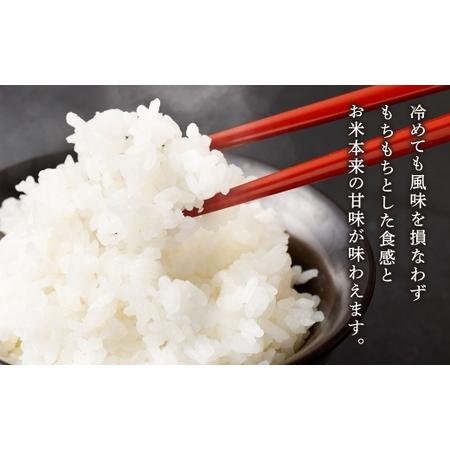 ふるさと納税 【 3ヶ月定期便 】 くまもとのブランド米 くまさんの輝き 10kg（5kg×2個）×全3回 お米 米 こめ コメ 飯 ご飯 白米 白飯 .. 熊本県高森町の画像