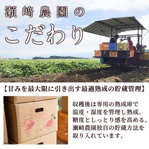 ふるさと納税 ＜先行予約受付中！2026年8月以降順次発送予定！＞鹿児島県 曽於市産 新物 黄金千貫 (10kg) 【瀬崎農園】 A606 鹿児島県曽於市の画像