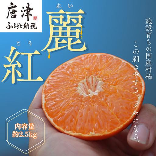 ふるさと納税 『予約受付』[令和9年1月下旬より順次発送]農家直送!施設育ちの希少柑橘 麗紅(箱込み2.5kg) 佐賀県唐津市