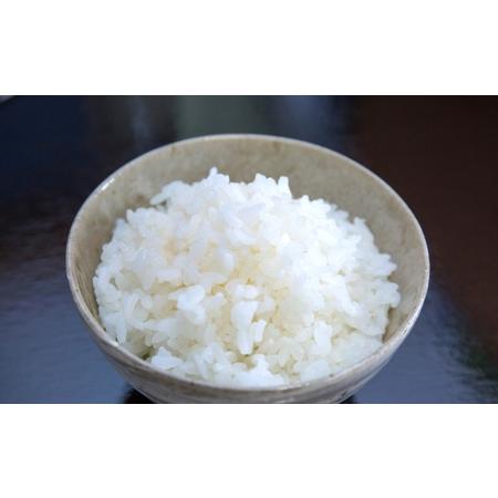 【訳あり品】 ふるさと納税 無洗米【頒布会10kg×6回】雪室貯蔵・南魚沼産コシヒカリ 新潟県南魚沼市 【DG2831026438】(99680円)