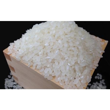 【訳あり品】 ふるさと納税 無洗米【頒布会10kg×6回】雪室貯蔵・南魚沼産コシヒカリ 新潟県南魚沼市 【DG2831026438】(99680円)