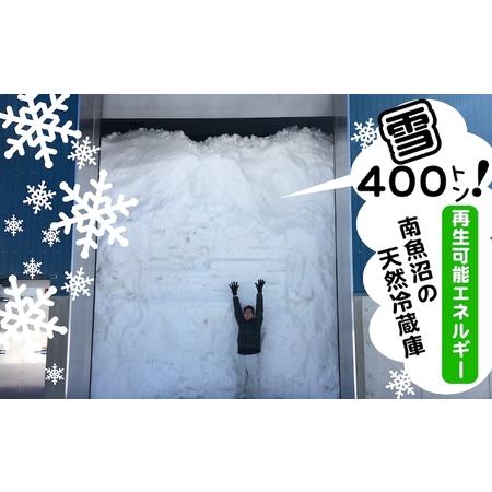 【訳あり品】 ふるさと納税 無洗米【頒布会10kg×6回】雪室貯蔵・南魚沼産コシヒカリ 新潟県南魚沼市 【DG2831026438】(99680円)