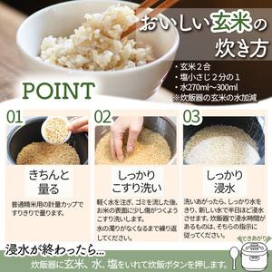 ふるさと納税 【先行予約】栃木県 下野市 コシヒカリ 玄米 20kg 米 　米 栃木県下野市_2