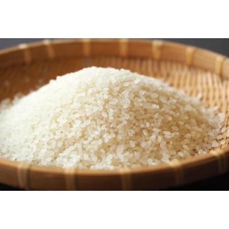 【公式】 ふるさと納税 【JAみなみ魚沼定期便】南魚沼産コシヒカリ「天地米」（20kg×全6回） 新潟県南魚沼市 【CEG3358434628】(118250円)