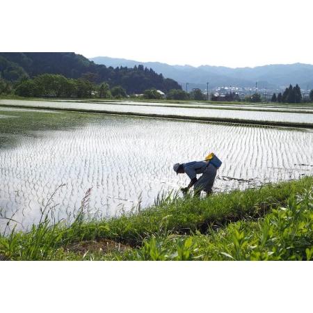 【公式】 ふるさと納税 【JAみなみ魚沼定期便】南魚沼産コシヒカリ「天地米」（20kg×全6回） 新潟県南魚沼市 【CEG3358434628】(118250円)