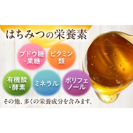 ふるさと納税 森のはちみつ 百花蜜 600g 蜂蜜 ハチミツ 大村市 三浦かんさく市[ACAE006] 長崎県大村市の画像