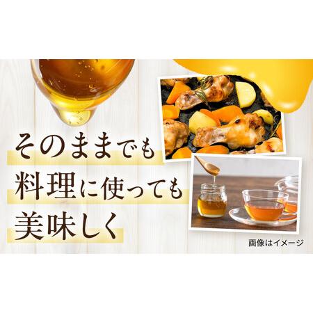 ふるさと納税 森のはちみつ 百花蜜 600g 蜂蜜 ハチミツ 大村市 三浦かんさく市[ACAE006] 長崎県大村市の画像