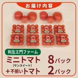 ふるさと納税 泉州産 新鮮ミニトマト 8パック＋不揃いトマト2パック 大阪府泉佐野市_4