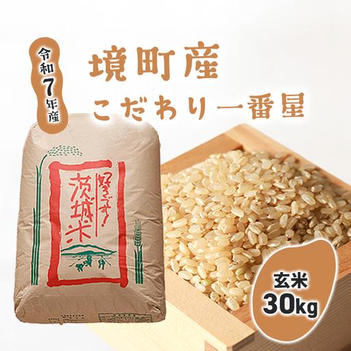 ふるさと納税 [令和7年産]境町のこだわり玄米 「一番星」30kg S252 茨城県境町