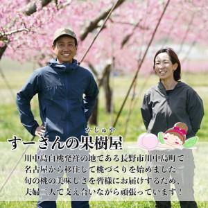 ふるさと納税 【先行予約】川中島の桃 約2kg 品種おまかせ  8月中旬〜8月下旬発送予定 長野県長野市の画像