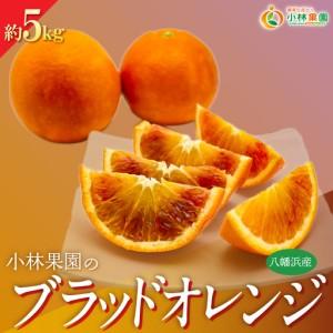 ふるさと納税 [先行受付]小林果園のブラッドオレンジ(約5kg)[C24-24][1124430] YWTAD017 愛媛県八幡浜市