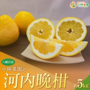 ふるさと納税 小林果園の河内晩柑(約5kg)[C24-26][1124432] YWTAD019 愛媛県八幡浜市