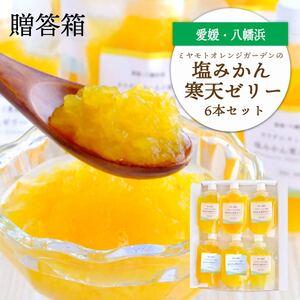 ふるさと納税 まるごと塩漬けにしたみかんを使用 塩みかん寒天ゼリー6 本セット ギフト箱入[C25-61][1231054] YWTAP033 愛媛県八幡浜市