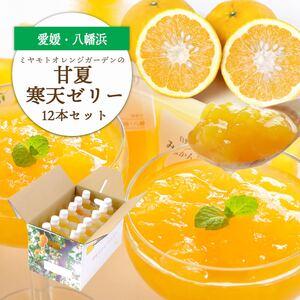ふるさと納税 ほろ苦く甘酸っぱいさわやかな味わい 愛媛産 甘夏寒天ゼリー12本セット[D25-17][1255524] YWTAP010 愛媛県八幡浜市