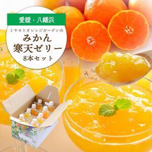 ふるさと納税 愛媛県八幡浜市のおいしいみかんを使用 みかん寒天ゼリー8本セット[C25-22][1255529] YWTAP015 愛媛県八幡浜市