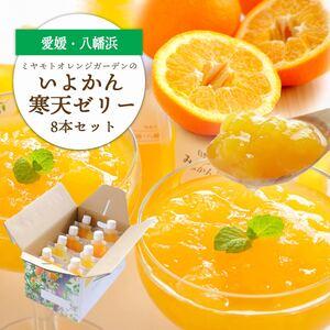 ふるさと納税 愛媛から「いい予感」♪ はじける香り いよかん寒天ゼリー 8本セット[C25-23][1255530] YWTAP016 愛媛県八幡浜市