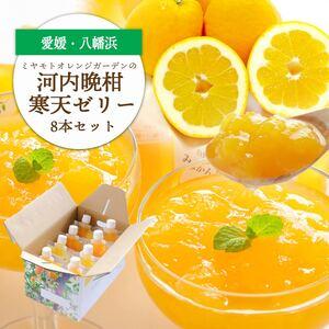 ふるさと納税 苦味の少ないさっぱり柑橘 和製グレープフルーツ 河内晩柑寒天ゼリー8本セット[D25-24][1255531] YWTAP017 愛媛県八幡浜市