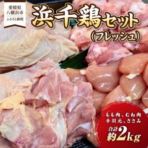 ふるさと納税 浜千鶏セット(フレッシュ)[C29-1][配送不可地域:離島][1487890] YWTD001 愛媛県八幡浜市