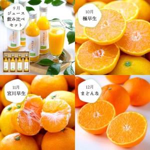 ふるさと納税 【発送月固定定期便】食べ切り少量サイズ 愛媛の人気品種!柑橘定期便(秀品)全12回【H25-156】【配送不可地域：離島】【4012890】.. 愛媛県八幡浜市_3