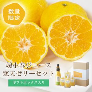 ふるさと納税 愛媛でしか栽培できない希少柑橘 媛小春(ひめこはる)のジュースと寒天ゼリーセット[D25-84][1309625] YWTAP044 愛媛県八幡浜市