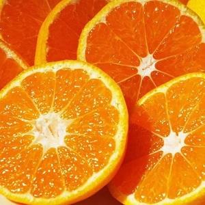 ふるさと納税 [2026年11月以降発送]濃厚な味わい「和」なごみ(みなの共選・家庭用)約5kg[C28-28][1122343] YWTN020 愛媛県八幡浜市