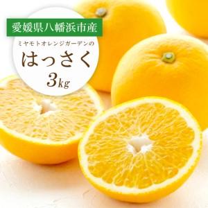 ふるさと納税 [先行受付]ぷりぷり!酸味さわやか 八朔(はっさく)3kg[C25-187][1609975] YWTAP128 愛媛県八幡浜市
