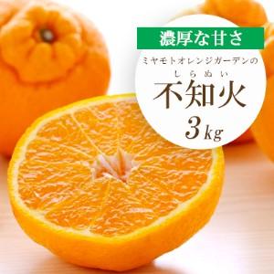 ふるさと納税 [先行受付]デコポンと同品種 濃厚柑橘 不知火(しらぬい) 3kg[C25-203][1612369] YWTAP144 愛媛県八幡浜市