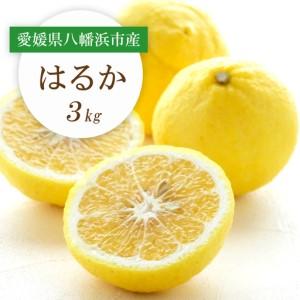 ふるさと納税 [先行受付]すっきり甘い!愛媛県八幡浜市産はるか 3kg[C25-204][1612464] YWTAP145 愛媛県八幡浜市