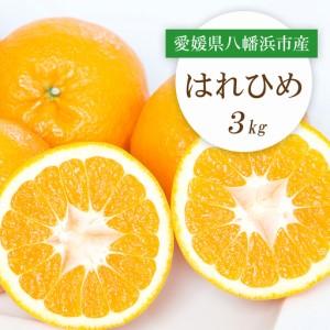 ふるさと納税 [先行受付]愛媛県八幡浜市産 はれひめ3kg[C25-206][1612488] YWTAP147 愛媛県八幡浜市