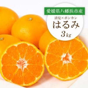 ふるさと納税 [先行受付]愛媛県八幡浜市産 はるみ3kg[C25-208][1612537] YWTAP149 愛媛県八幡浜市