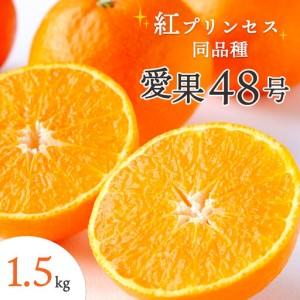 ふるさと納税 甘平×まどんな「紅プリンセス」と同品種!愛媛果試48号1.5kg[C25-211][1612661] YWTAP152 愛媛県八幡浜市