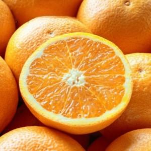 ふるさと納税 【先行受付】【まるで食べるジュース!越冬完熟品】愛媛産 清見オレンジ 20kg【H20-94】【1625385】 YWTI089 愛媛県八幡浜市_1