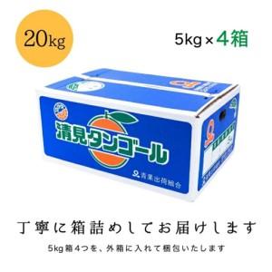 ふるさと納税 【先行受付】【まるで食べるジュース!越冬完熟品】愛媛産 清見オレンジ 20kg【H20-94】【1625385】 YWTI089 愛媛県八幡浜市_3