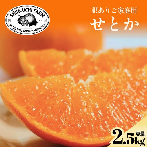 ふるさと納税 [先行受付]訳ありだけど美味しさそのまま[訳あり]せとか 2.5kg[A70-155][1707145] YWTK154 愛媛県八幡浜市