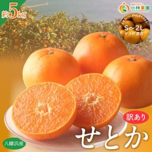 ふるさと納税 [先行受付]★訳アリ★[数量限定500箱] 愛媛・小林果園のせとか 約5キロ[D24-38][1711119] YWTAD029 愛媛県八幡浜市