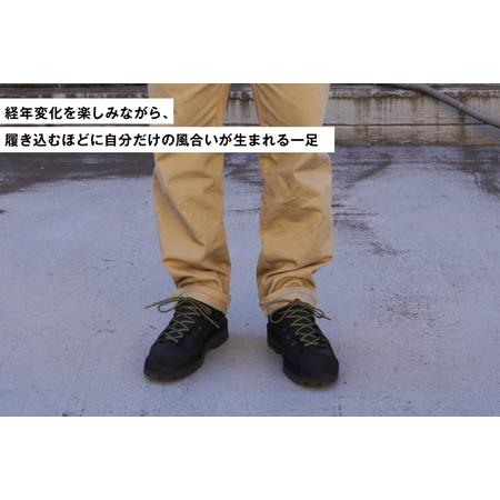 ふるさと納税 DANNER 紳士靴 マウントリッヂ ロー BLACK【24.5cm】 [STUMPTOWN渋谷店 石川県 志賀町 sk17jkf70292-1] 石川県志賀町の画像
