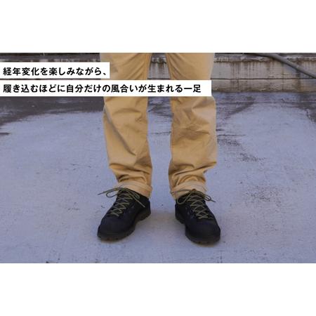 ふるさと納税 DANNER 紳士靴 マウントリッヂ ロー BLACK【28.0cm】 [STUMPTOWN渋谷店 石川県 志賀町 sk17jkf70292-8] 石川県志賀町の画像