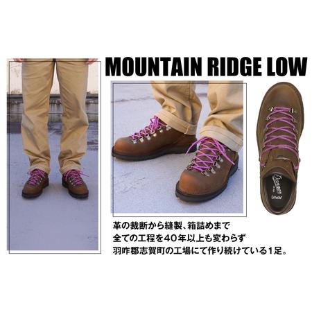 ふるさと納税 DANNER 紳士靴 マウントリッヂ ロー BROWN ブラウン【24.5cm】 [STUMPTOWN渋谷店 石川県 志賀町 sk17jkf70291-1] 石川県志賀町の画像