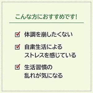 ふるさと納税 ビタミンC〈180粒〉袋入（02184）【006-a145】 岡山県鏡野町_2