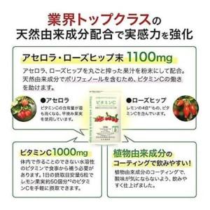 ふるさと納税 ビタミンC〈180粒〉袋入（02184）【006-a145】 岡山県鏡野町_3